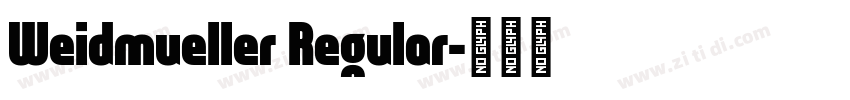Weidmueller Regular字体转换